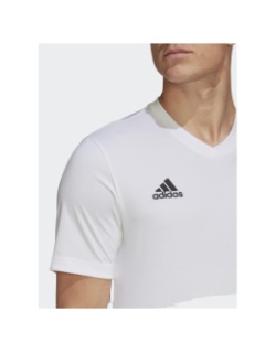 T-shirt de sport ent22 blanc homme - Adidas