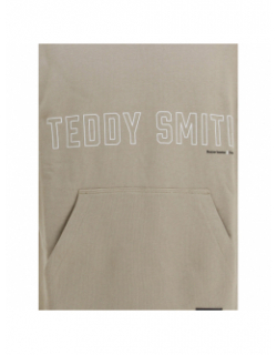 Sweat à capuche rec logo beige enfant - Teddy Smith