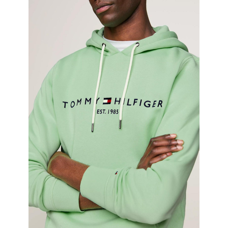 Sweat tommy hilfiger homme shops capuche