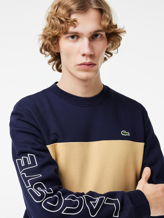 Sweatshirt logo brodé bicolore bleu marine homme - Lacoste