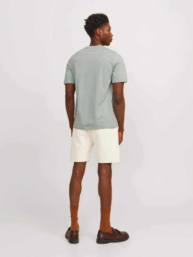 T-shirt aruba gris vert homme - Jack & Jones