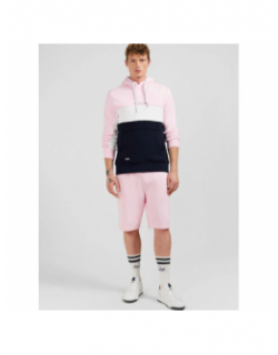 Sweat à capuche colorblock girondin bleu rose homme - Eden Park