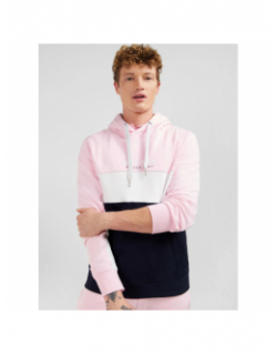 Sweat à capuche colorblock girondin bleu rose homme - Eden Park