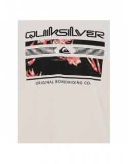 T-shirt hide palm locked beige homme - Quiksilver