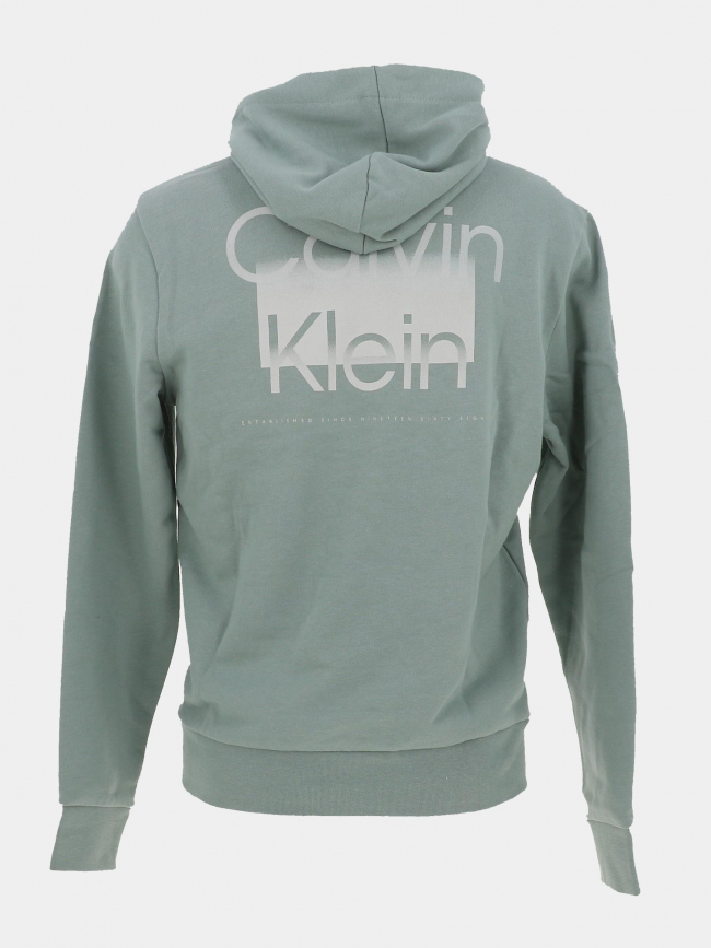 Sweat à capuche enlarged logo dos vert homme - Calvin Klein