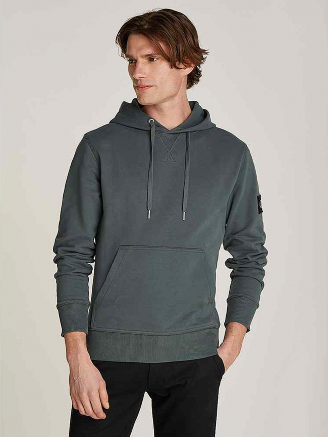 Sweat a capuche badge hoodie gris homme Calvin Klein wimod