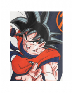 T-shirt dragon ball z blanc enfant - Name It