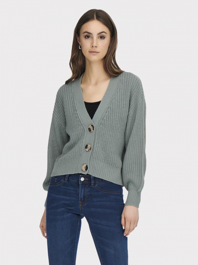 Gilet cardigan crop justy bleu femme - JDY