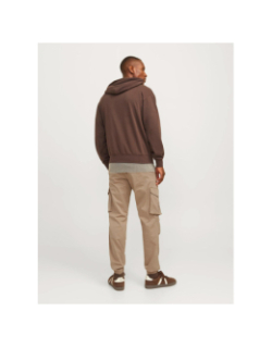 Pantalon cargo kane noah marron homme - Jack & Jones