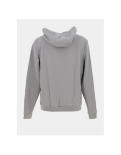 Veste zippée à capuche parker gris rose homme - Helvetica