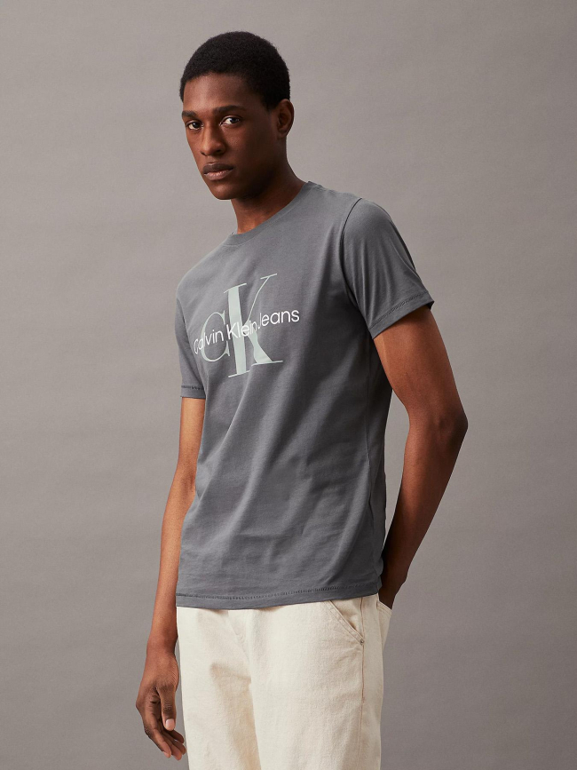 T-shirt seasonal monologo gris homme - Calvin Klein Jeans