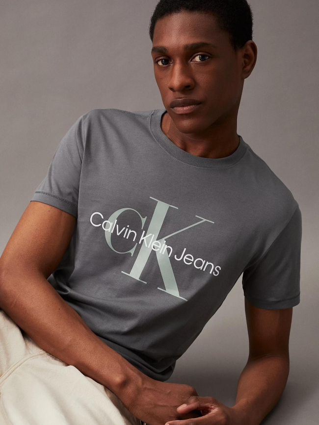 T-shirt seasonal monologo gris homme - Calvin Klein Jeans