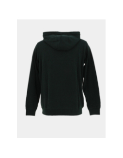 Sweat à capuche evry hoody vert garçon - Teddy Smith