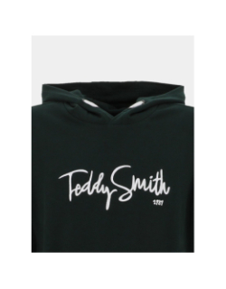 Sweat à capuche evry hoody vert garçon - Teddy Smith