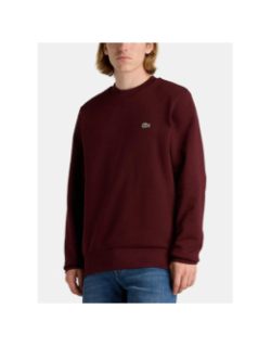 Sweatshirt uni logo bordeaux homme - Lacoste