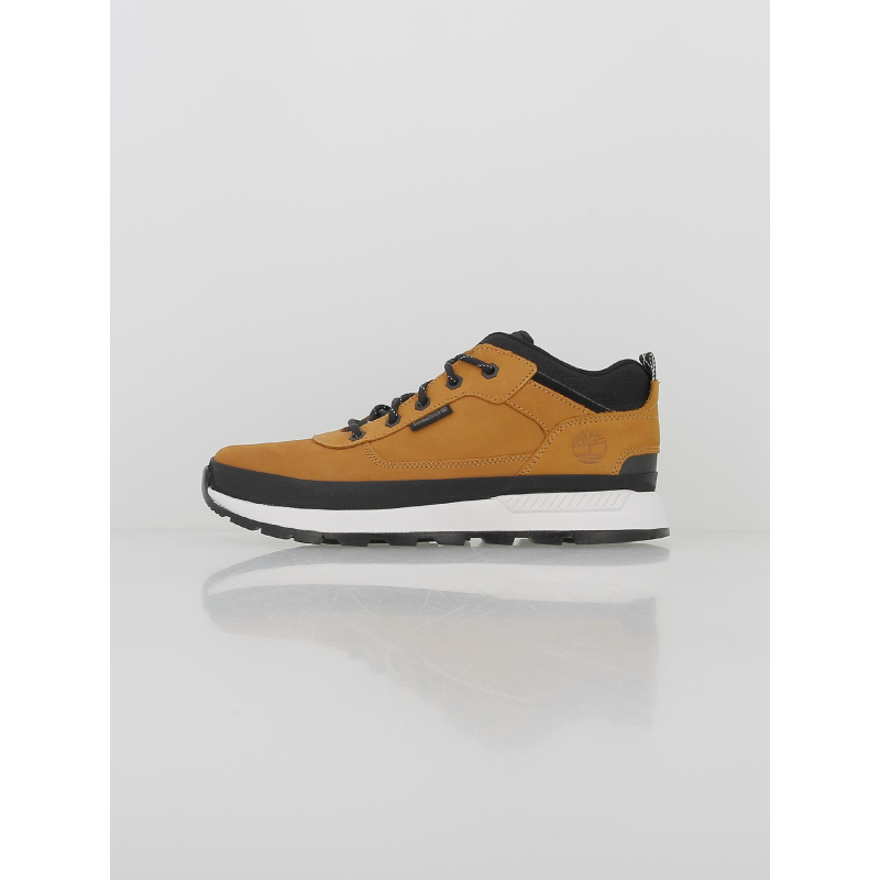 Basket à lacets field trekker marron homme - Timberland