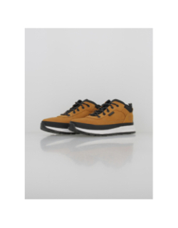 Basket à lacets field trekker marron homme - Timberland