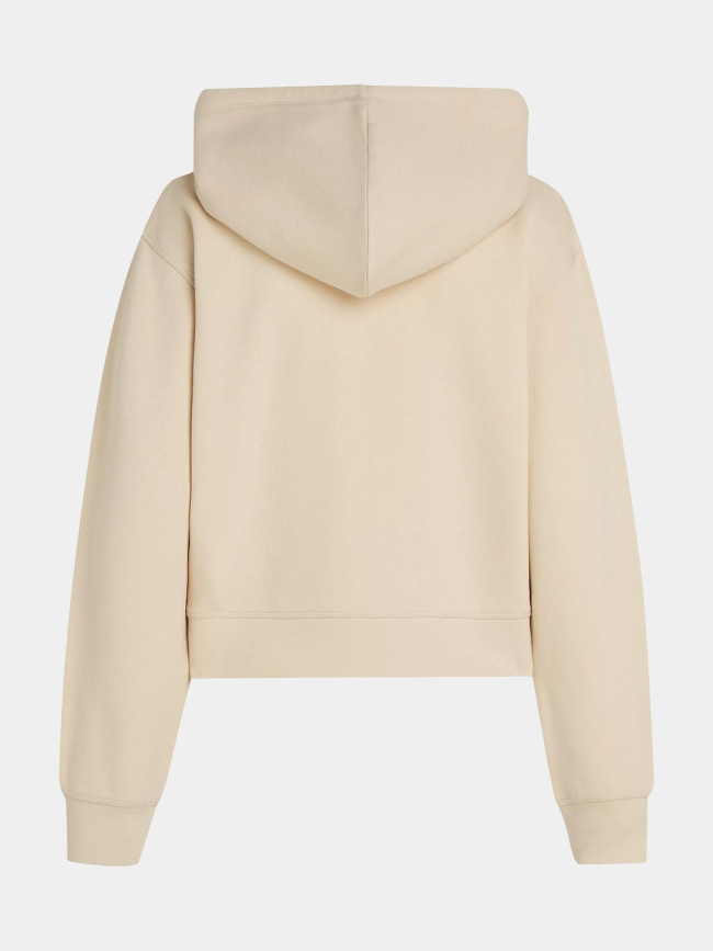 Sweat zippé à capuche reg flag beige homme - Tommy Hilfiger