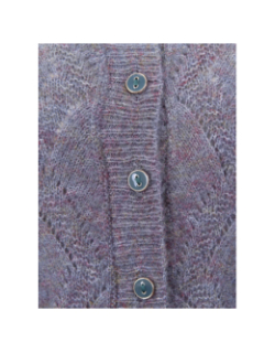 Gilet cardigan allia bleu femme - Ichi