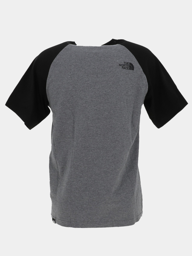 T-shirt raglan easy tee gris homme - The North Face