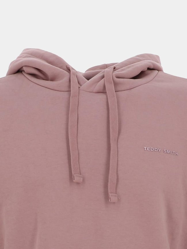 Sweat à capuche s-nark rose homme - Teddy Smith