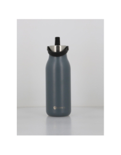 Bouteille isotherme 2.0 1L gris - Les Artistes