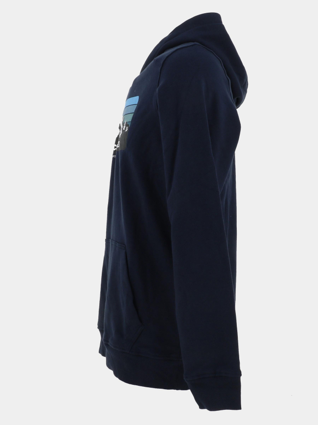 Sweat à capuche jjpeak bleu marine enfant - Jack & Jones