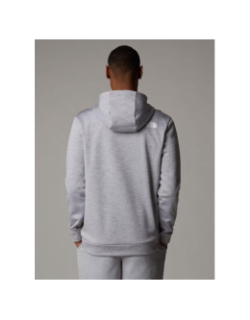 Sweat à capuche reaxion fleece gris homme - The North Face