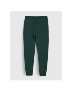 Bas de jogging narky vert homme - Teddy Smith