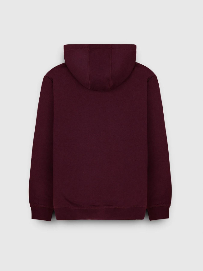 Sweat à capuche nark violet homme - Teddy Smith