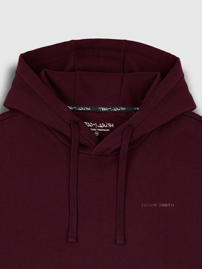 Sweat à capuche nark violet homme - Teddy Smith