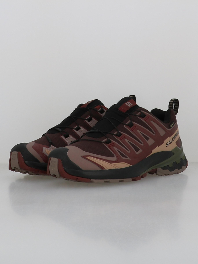 Chaussures de trail xa pro 3d v9 gtx bordeaux homme - Salomon