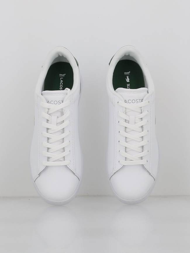 Baskets carnaby blanc vert homme - Lacoste