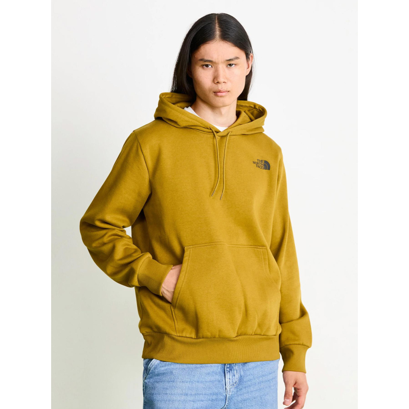 Sweat à capuche hood logo kaki homme - The North Face