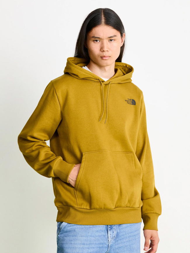 Sweat à capuche hood logo kaki homme - The North Face