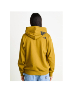 Sweat à capuche hood logo kaki homme - The North Face