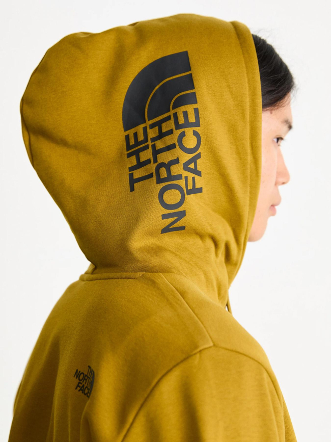 Sweat à capuche hood logo kaki homme - The North Face