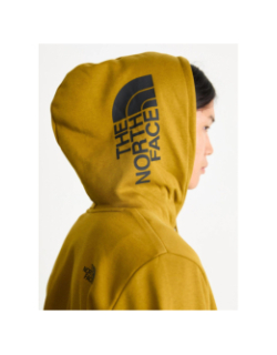 Sweat à capuche hood logo kaki homme - The North Face