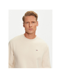 Sweat uni regular logo beige homme - Teddy Smith