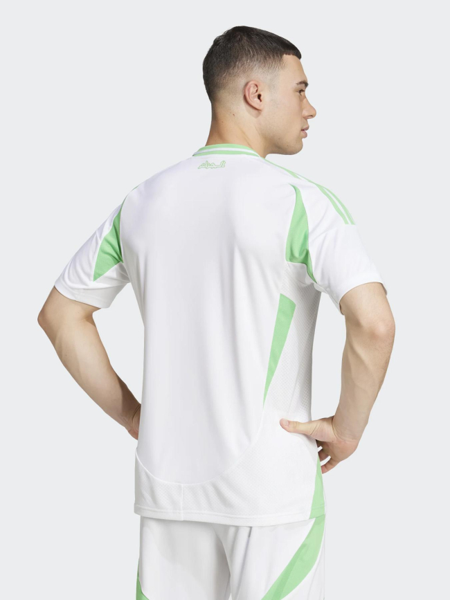 Maillot de football domicile algérie 24/25 blanc homme - Adidas