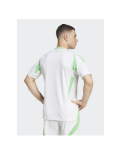 Maillot de football domicile algérie 24/25 blanc homme - Adidas