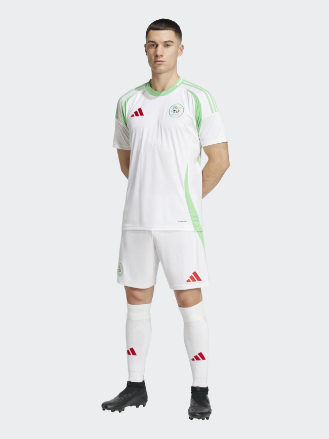 Maillot de football domicile algérie 24/25 blanc homme - Adidas