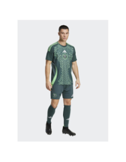 Maillot de football extérieur algérie 24/25 vert homme - Adidas